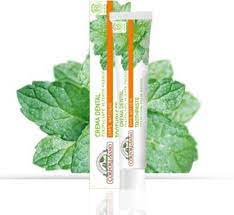 Corpore Sano purifying fresh breath Toothpaste  (75 g)